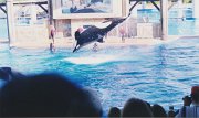 023-A big jump